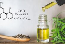 The Anatomy of a Great CBD For General Health