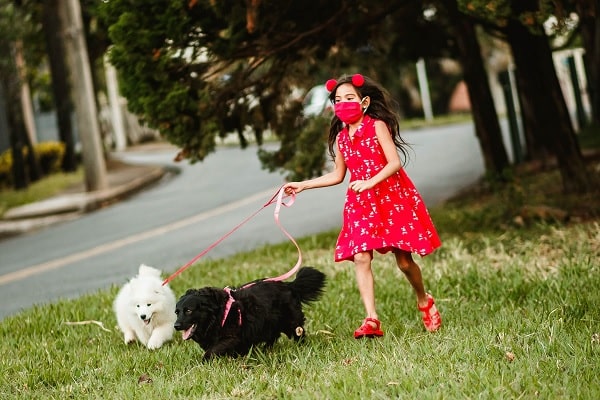 Play with Pets Can Help with Childhood Obesity